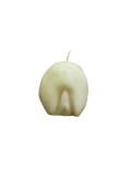 FIGURA DE CERA VAGINA BLANCA FV15