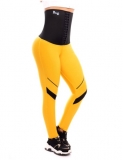 LEGGINS  DEPORTIVA EN NEOPRENO PITBULL REF DNA1137