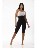 CAPRI FAJA  PITBULL REF FP0219