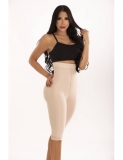 CAPRI FAJA  PITBULL REF FP0219